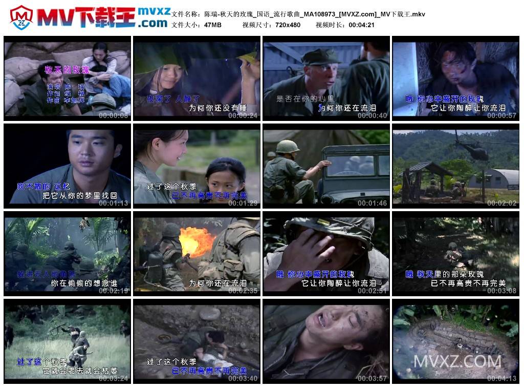 陈瑞-秋天的玫瑰_国语_流行歌曲_MA108973